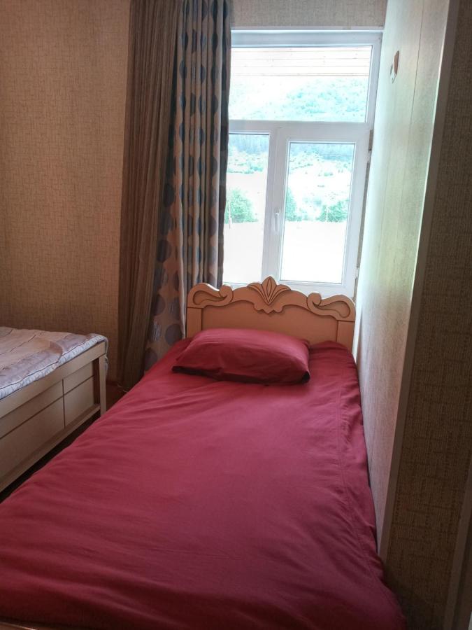 Guest House Tavaduri Mestia Luaran gambar