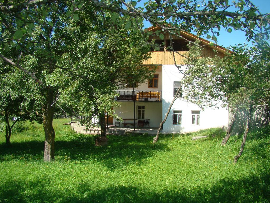 Guest House Tavaduri Mestia Luaran gambar